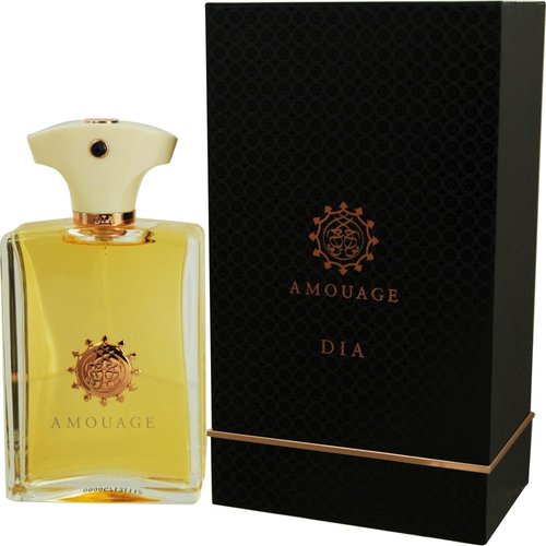 Amouage Dia pour Homme EDP
